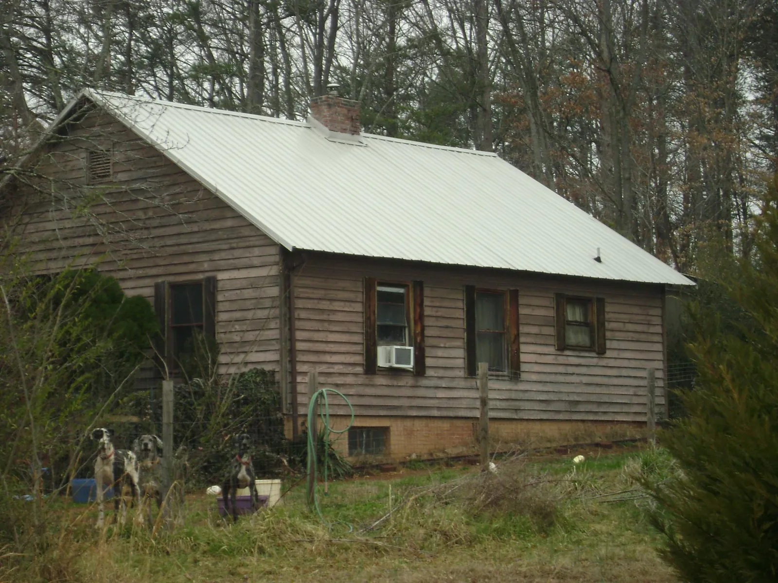 White metal roof on an old wood sided farmhouse, from a Asphalt Shingle Roof Repair job in Castroville